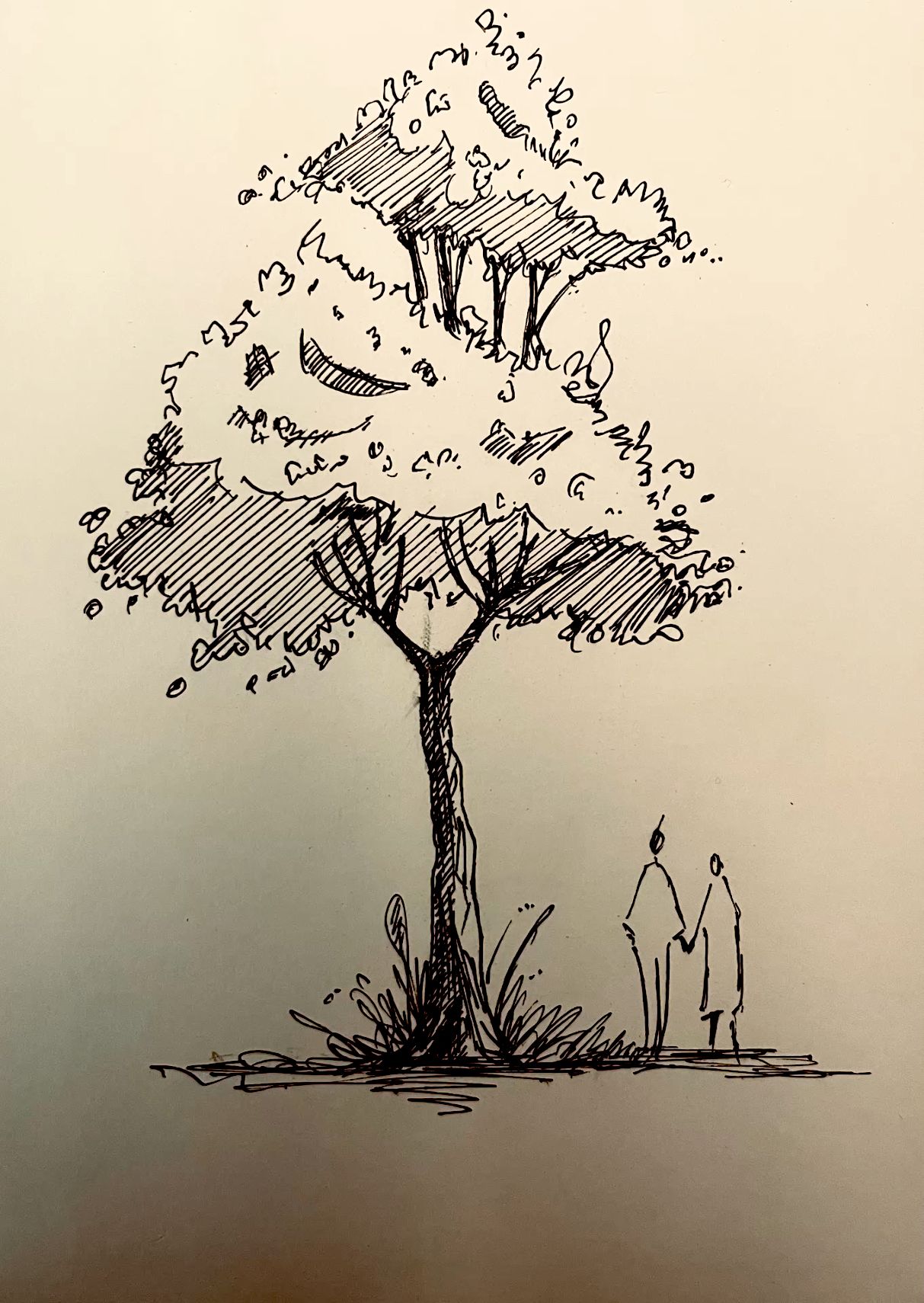 RAINIER MEADOW LLC