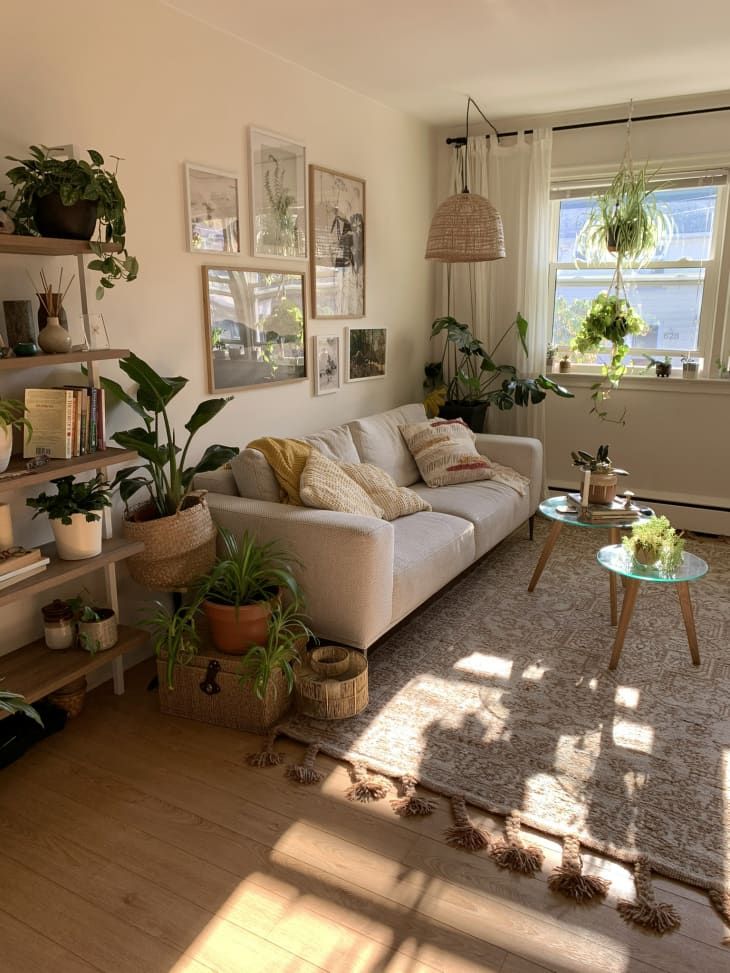 ASHDOWN LN LLC